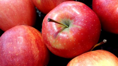 Full frame shot of apples