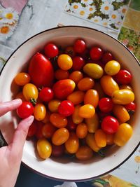 Tomatoes in summer