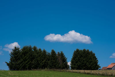 Trees on field against blue sky