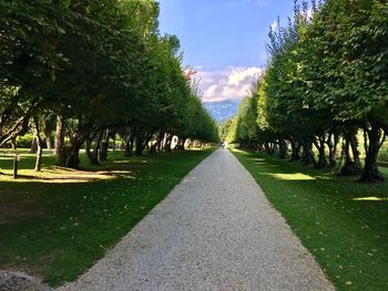 Footpath amidst trees in park against sky