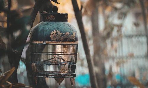 Close-up of empty birdcage