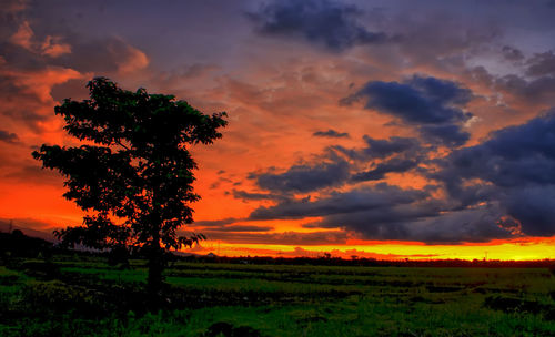 Scenic view of field against sky during sunset