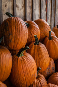 Pumpkins by fence for sale in market