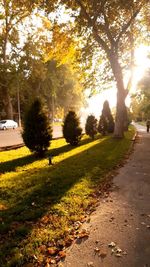 Footpath in park during autumn