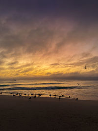 Scenic view of beach against sky during sunset