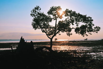 Silhouette tree by sea against sky during sunset