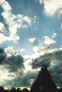 Low angle view of trees against sky