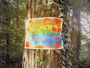 Close-up of text on tree trunk