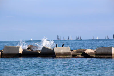 Sailboats on sea against clear sky