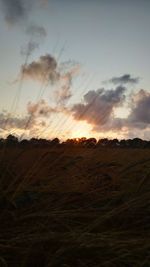 Scenic view of field against sky during sunset