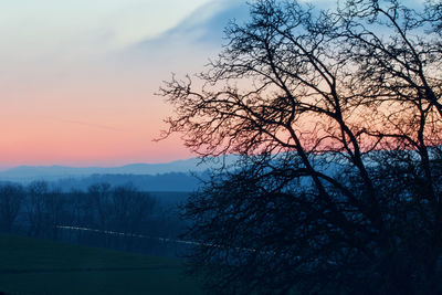 Silhouette bare tree against sky during sunset