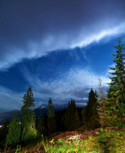 Scenic view of forest against sky at night