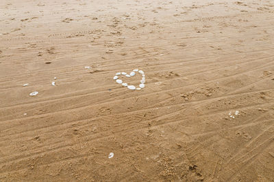 Heart made of sea shells at the sea beach. holiday love concept
