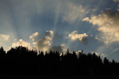 Silhouette trees against sky