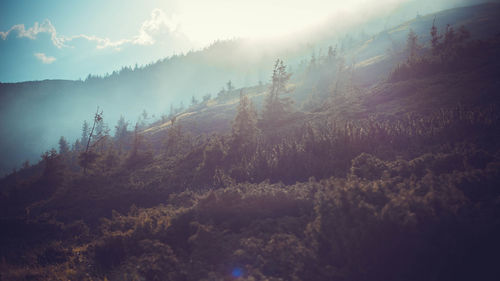 Scenic view of trees and mountains against sky