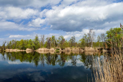 Reflection of trees in lake against sky