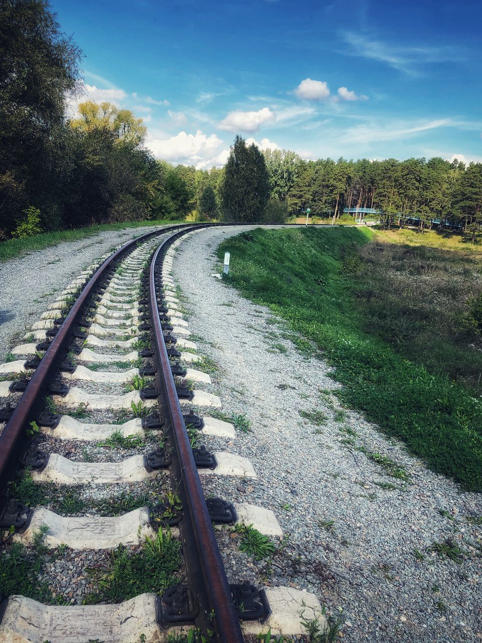 VIEW OF RAILROAD TRACKS ALONG TREES