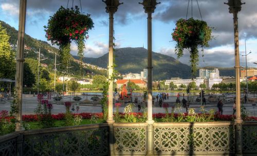 Trees by swimming pool against sky