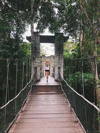 Rear view of woman standing on footbridge in forest