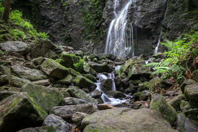 Scenic view of waterfall in forest