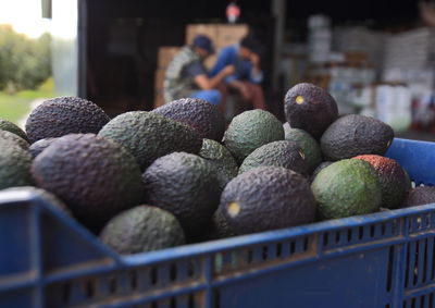 Close-up of fruits for sale