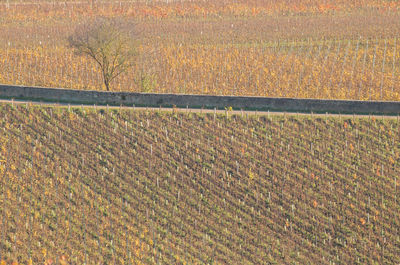 Landscape of the climats of the burgundy vineyard along the route des grands crus