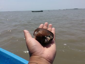 Midsection of person holding sea