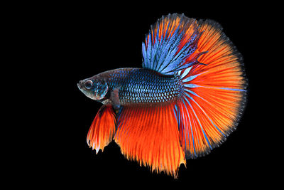 View of illuminated lights at night