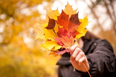 Close-up of person holding maple leaf during autumn