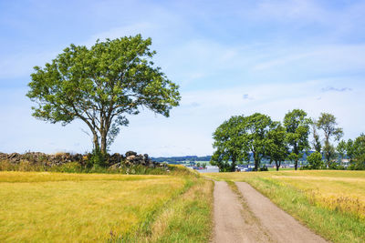 Trees on field against sky