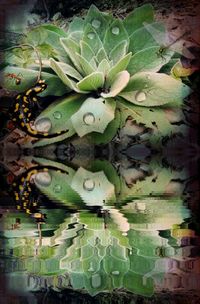 Close-up of plants against water