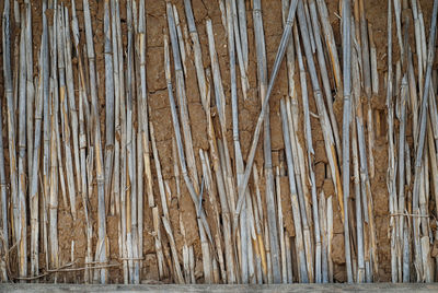 Full frame shot of wooden structure in forest