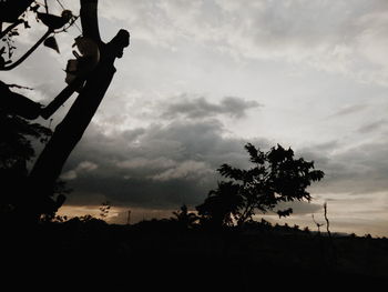 Low angle view of silhouette trees against sky