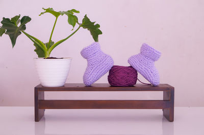 Potted plant on table at home