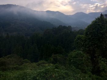 Scenic view of forest and mountains against sky