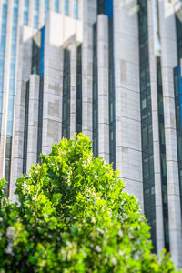 Low angle view of modern building in city