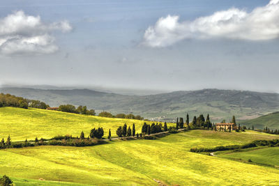 Scenic view of landscape against sky