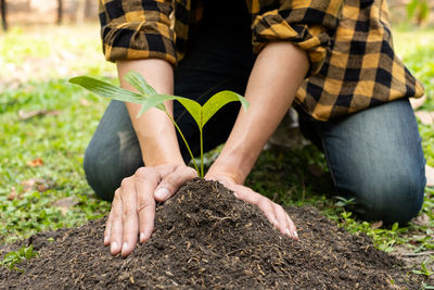 Midsection of man gardening