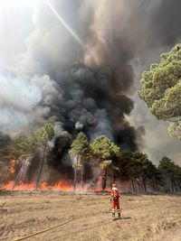 Man fighting with the flames of a forest fire 