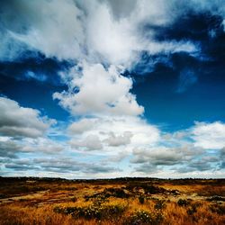 Scenic view of field against cloudy sky