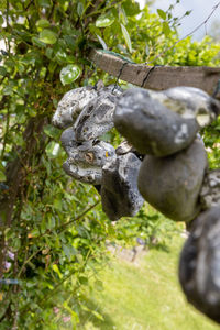 Close-up of statue against plants in yard