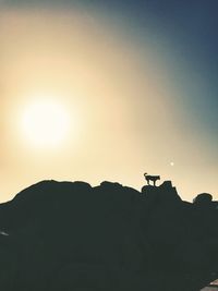 Silhouette person on mountain against clear sky during sunset