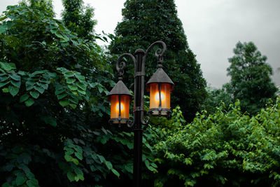 Low angle view of illuminated lantern by trees against sky