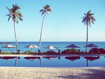 Palm trees on beach