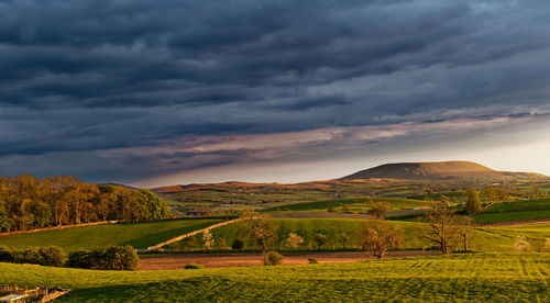 Pendle hill from the yorkshire border near west marton.