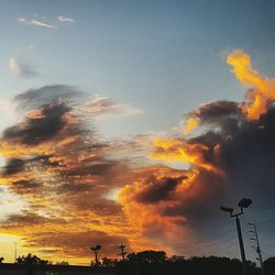 Silhouette of tree against dramatic sky