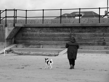 Rear view of woman with dog at beach