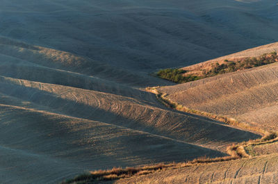 Wavy hills in tuscan farmland