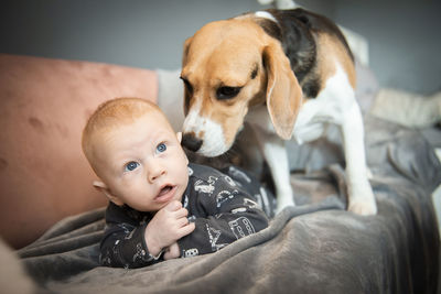 Cute newborn baby boy laying with a beagle dog on a couch. pet for newborn concept