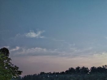 Low angle view of trees against sky